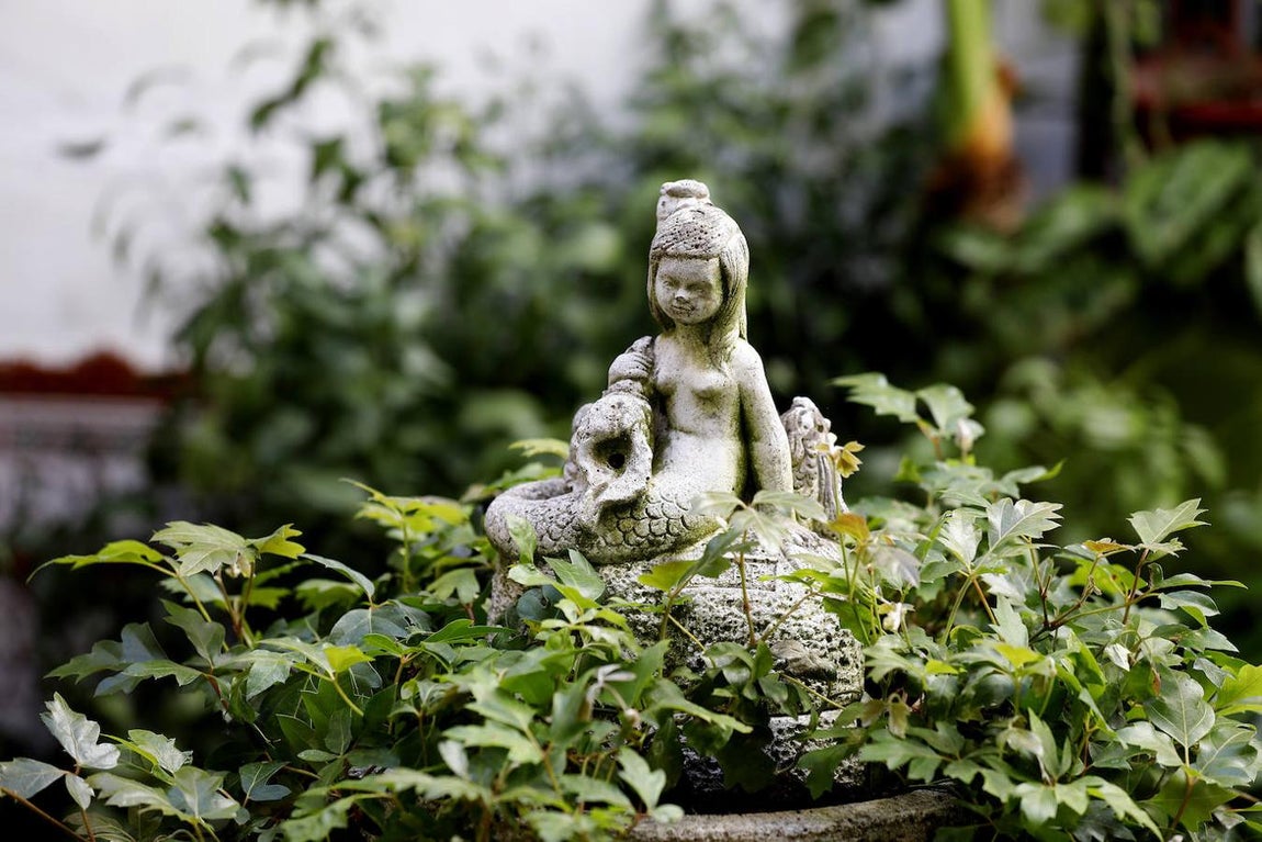 Los Patios de la Judería y San Francisco de Córdoba, en imágenes