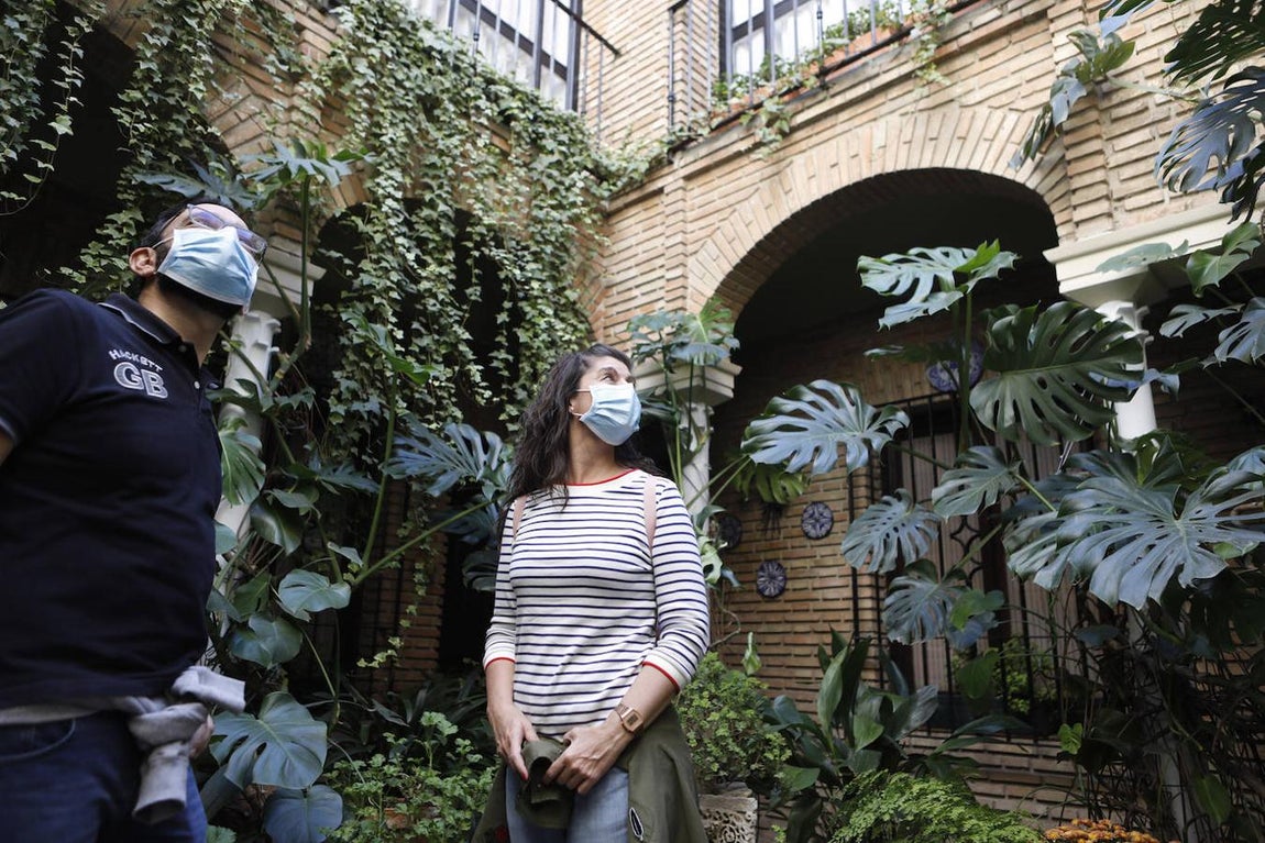 Los Patios de la Judería y San Francisco de Córdoba, en imágenes