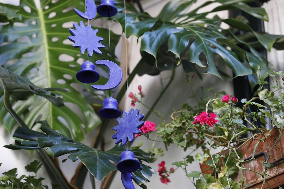 Los Patios de la Judería y San Francisco de Córdoba, en imágenes