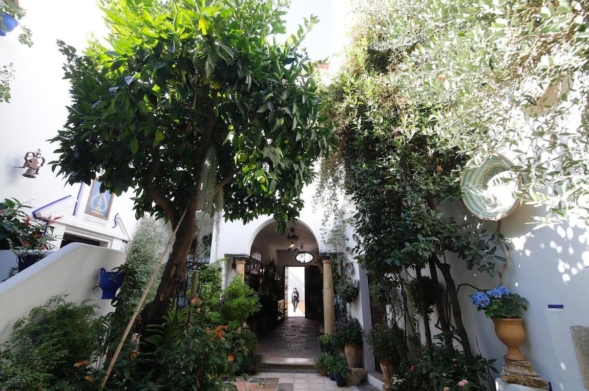 Patios Córdoba 2020 | La ruta de San Lorenzo, en imágenes