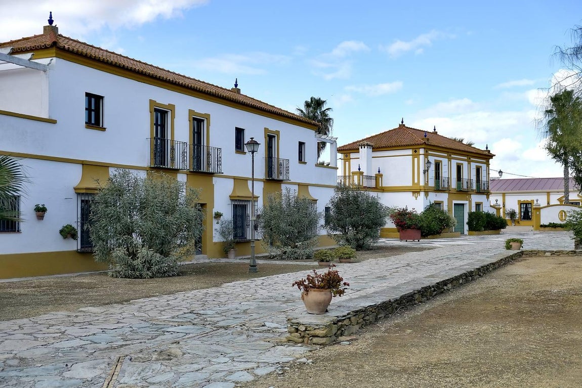 El fangueo deja impresionantes imágenes en Isla Mayor