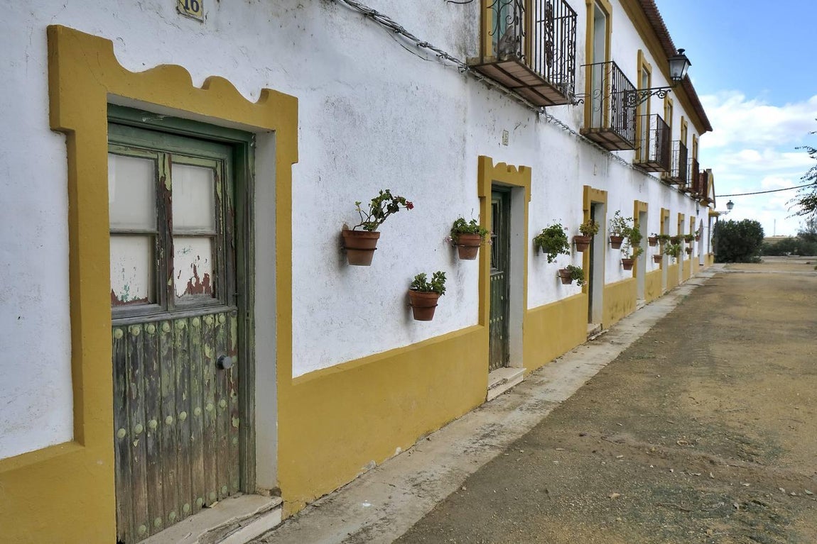 El fangueo deja impresionantes imágenes en Isla Mayor