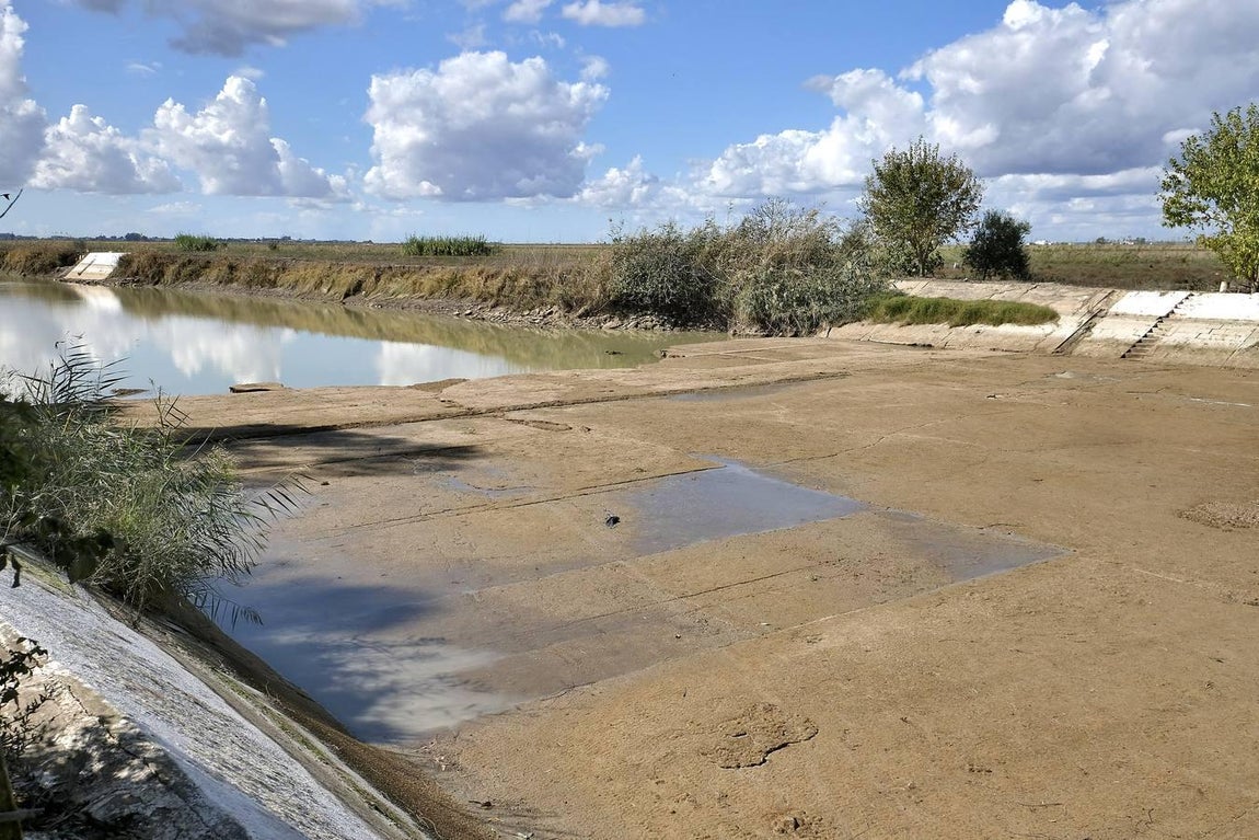 El fangueo deja impresionantes imágenes en Isla Mayor