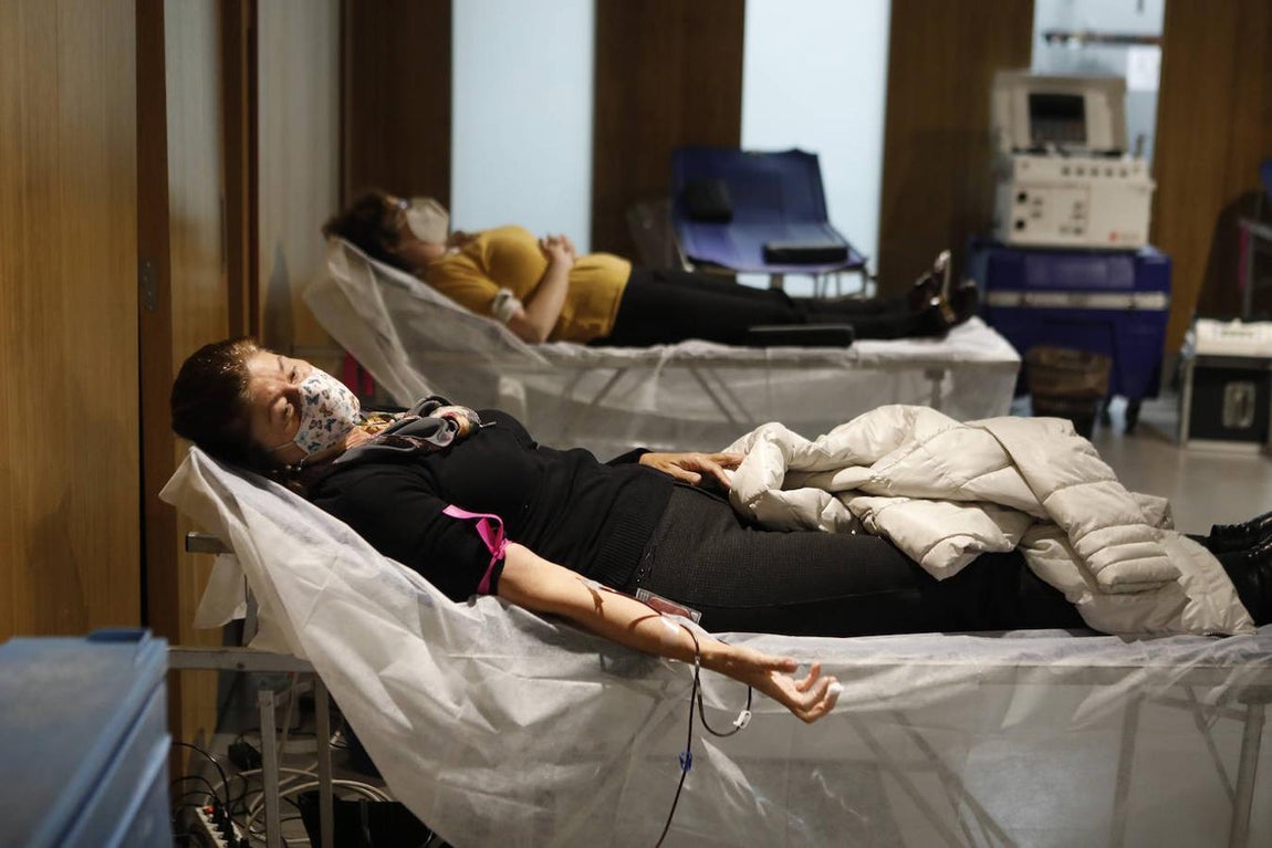 La donación de sangre en la Fundación Cajasol en Córdoba, en imágenes