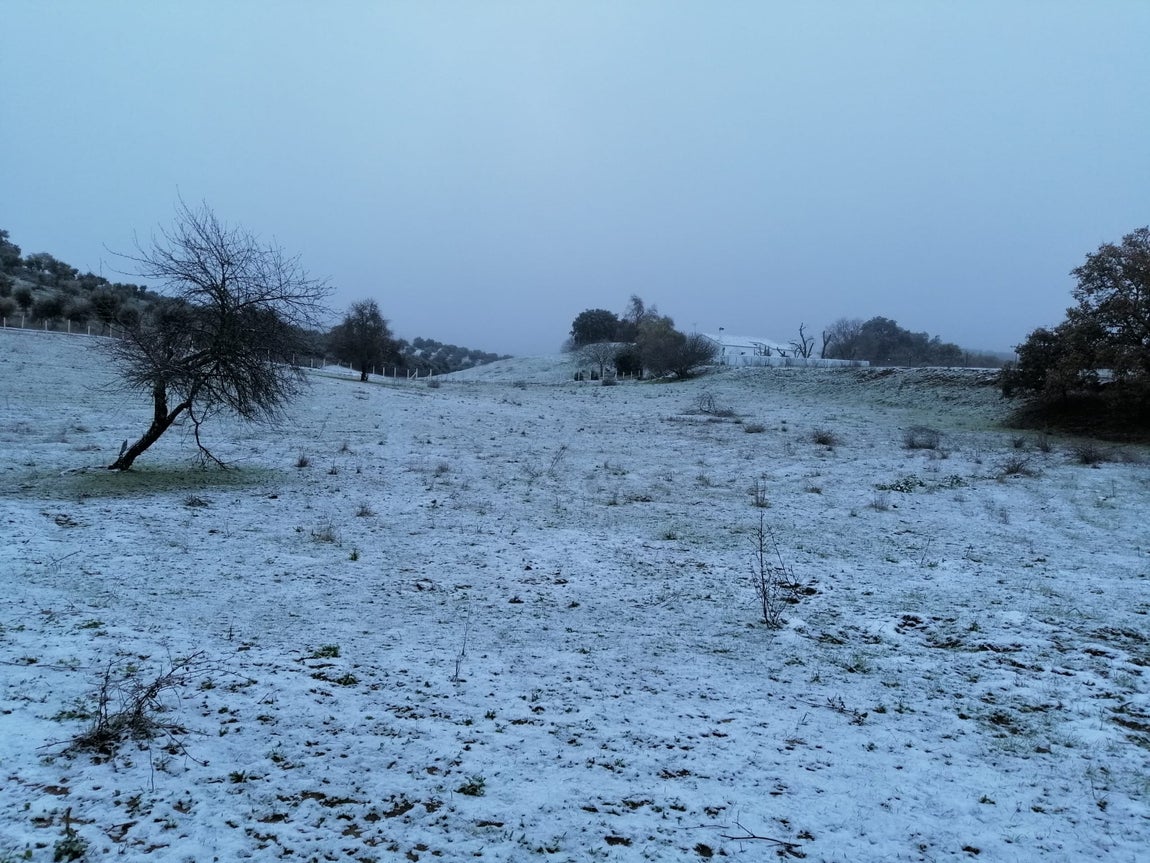 En imágenes, las primeras nevadas en la Sierra Norte de Sevilla