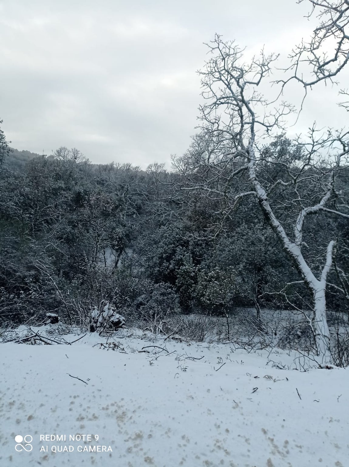 Paisaje helado en Constantina