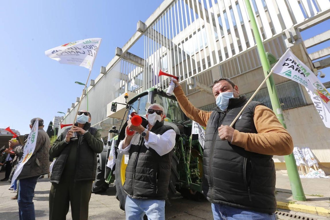 La protesta de los agricultores contra el Gobierno en Córdoba, en imágenes