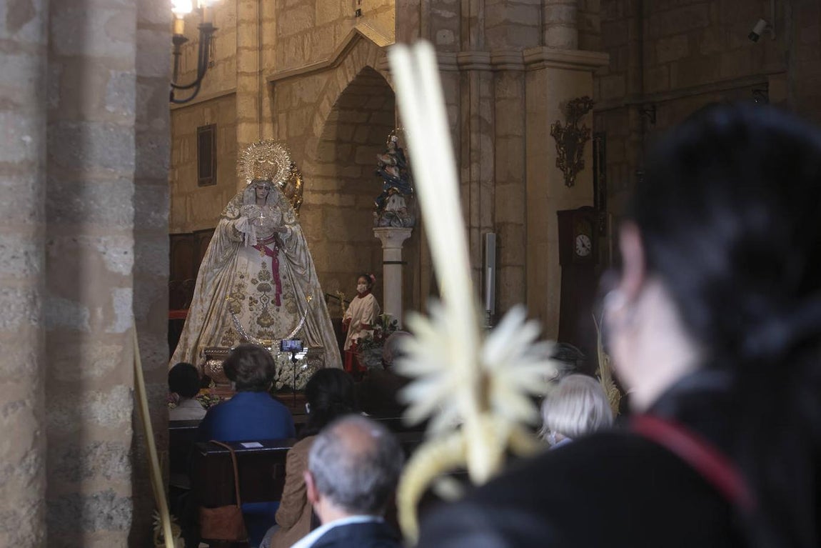 Semana Santa Córdoba 2021 | Las imágenes de la Borriquita en el Domingo de Ramos