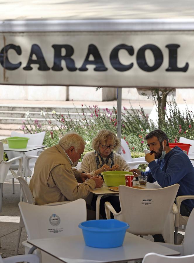 La cordobesa costumbre de los caracoles, en imágenes