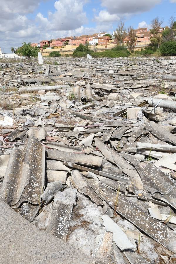 Fotogalería: La escombrera de amianto en Alcalá