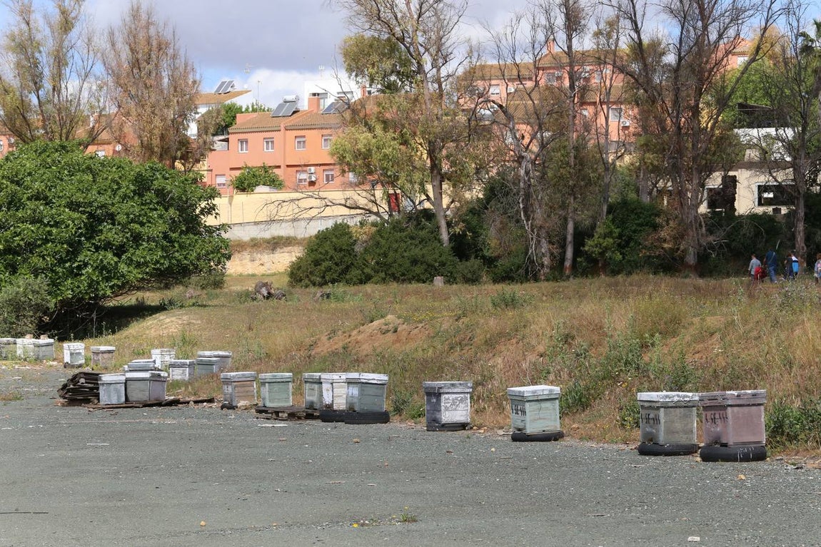 Fotogalería: La escombrera de amianto en Alcalá