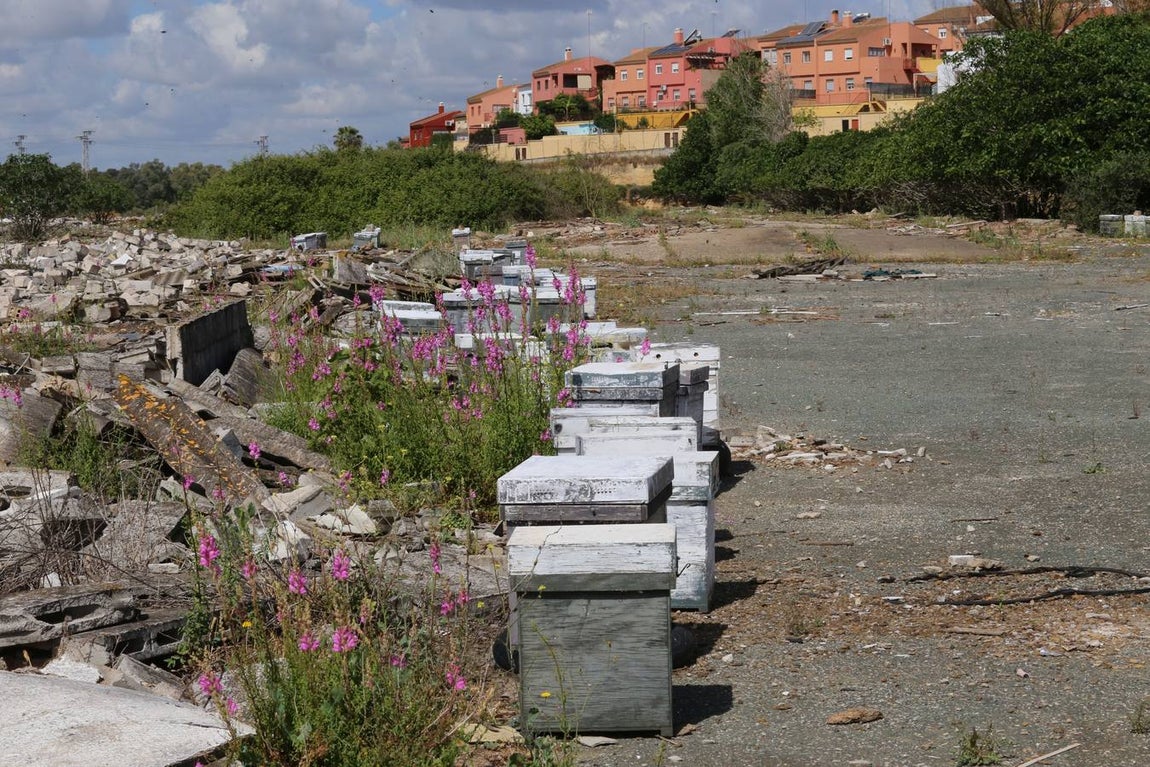 Fotogalería: La escombrera de amianto en Alcalá