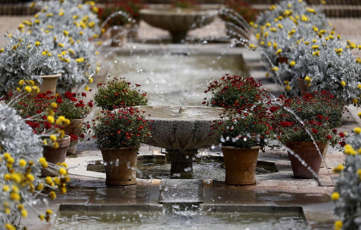 Patios de Córdoba 2021 | El Palacio de Viana, en imágenes