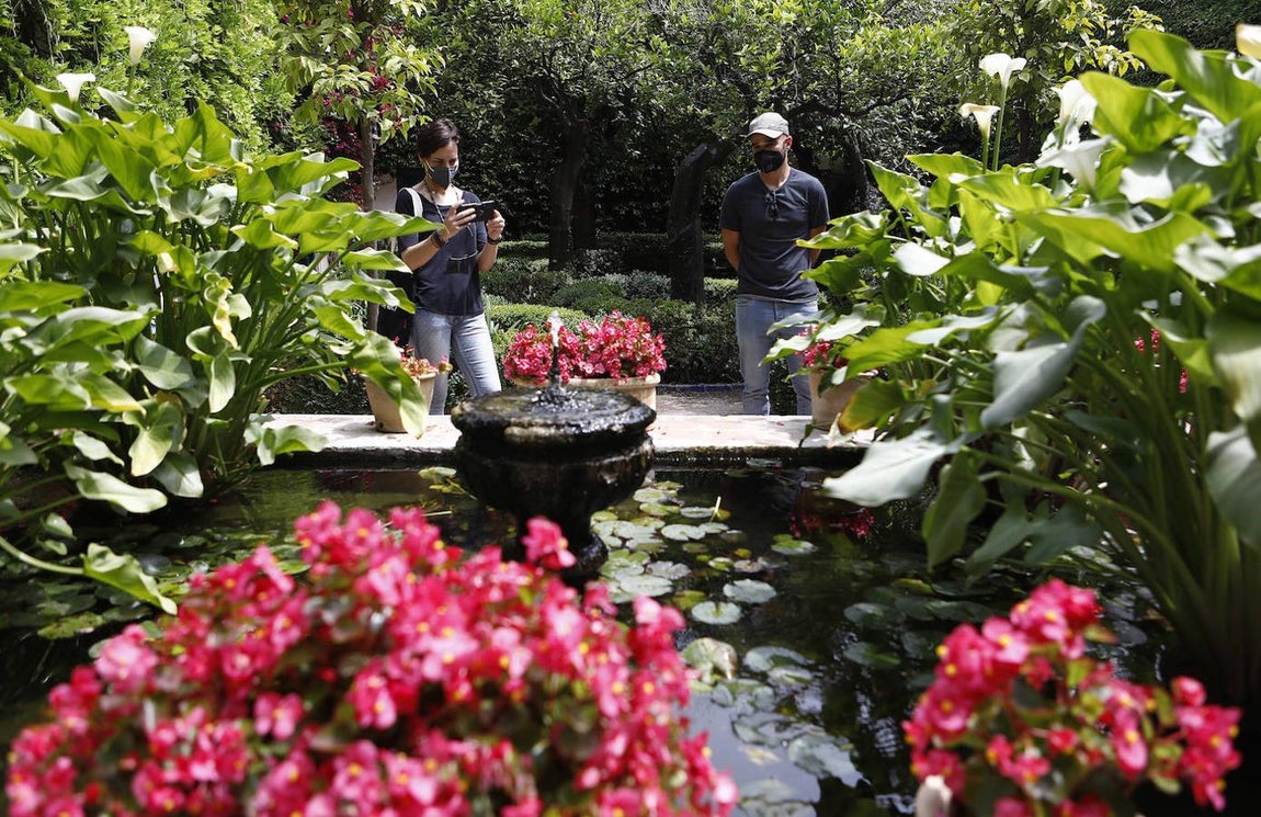 Patios de Córdoba 2021 | El Palacio de Viana, en imágenes