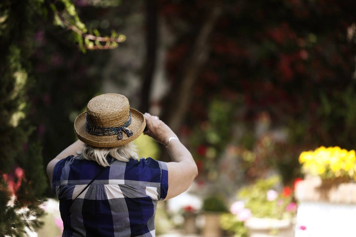 Patios de Córdoba 2021 | El Palacio de Viana, en imágenes