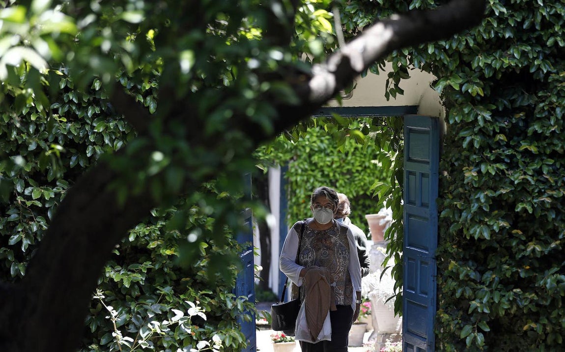 Patios de Córdoba 2021 | El Palacio de Viana, en imágenes