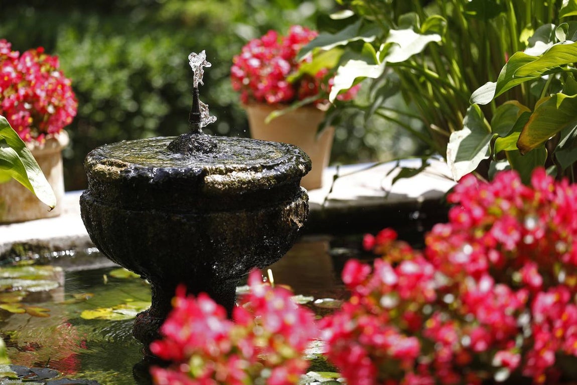 Patios de Córdoba 2021 | El Palacio de Viana, en imágenes