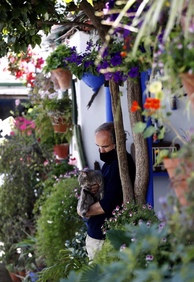 Patios de Córdoba 2021 | Marroquíes, 6, en imágenes