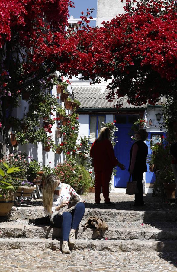 Patios de Córdoba 2021 | Marroquíes, 6, en imágenes