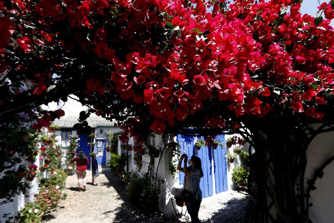 Patios de Córdoba 2021 | Marroquíes, 6, en imágenes
