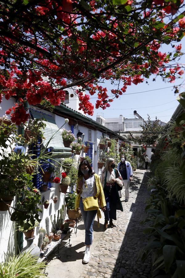 Patios de Córdoba 2021 | Marroquíes, 6, en imágenes