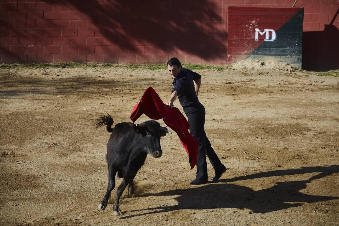 La preparación de Finito de Córdoba, en imágenes