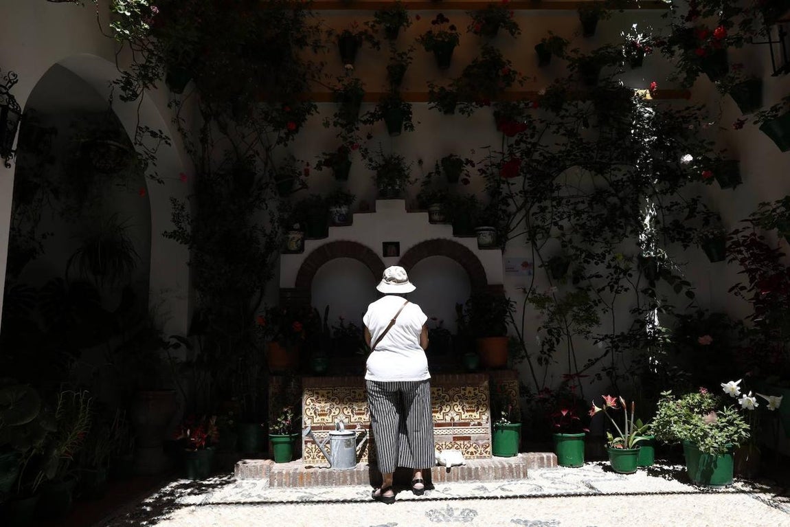 Patios de Córdoba 2021 | El Alcázar Viejo, en imágenes