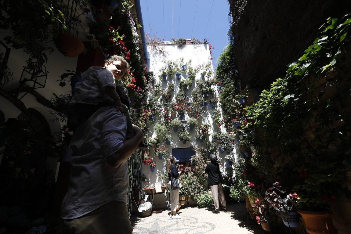Patios de Córdoba 2021 | El Alcázar Viejo, en imágenes