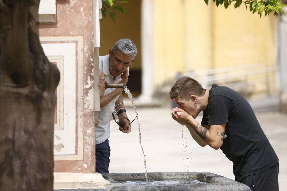 Córdoba llega ya a los 40 grados, en imágenes