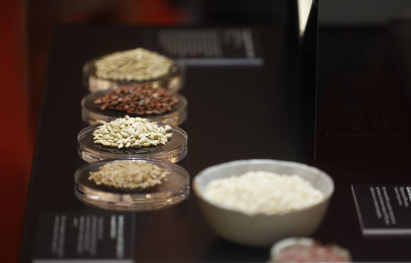 La exposición &quot;Arte Culinario en la Córdoba Andalusí&quot;, en imágenes