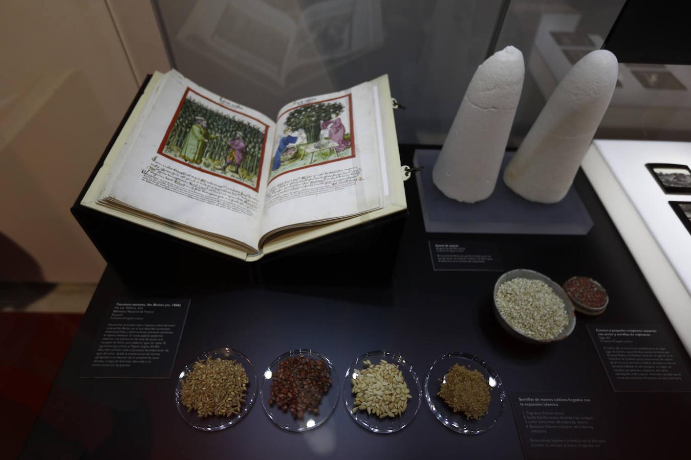 La exposición &quot;Arte Culinario en la Córdoba Andalusí&quot;, en imágenes