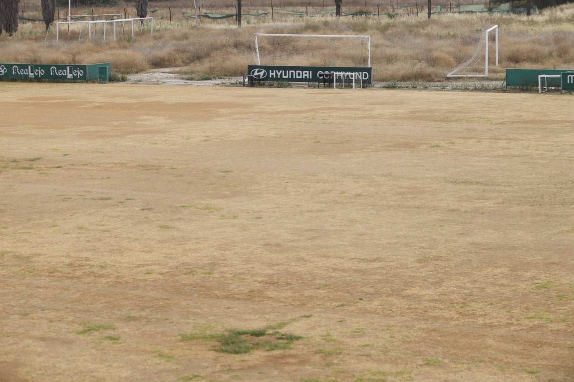 El mal estado de la Ciudad deportiva del Córdoba, en imágenes