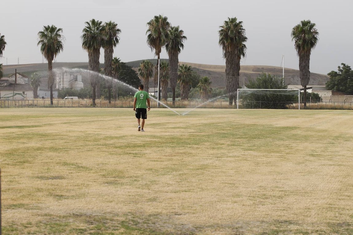 El mal estado de la Ciudad deportiva del Córdoba, en imágenes