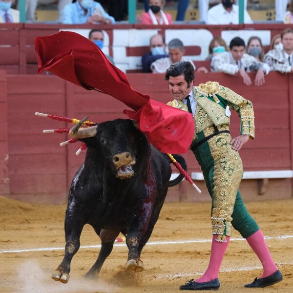 En imágenes: Morante de la Puebla, rebosante de valor y torería en Jerez