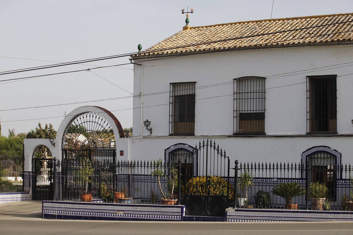 Perro mata niño en Lucena | En imágenes, el ambiente en una ciudad consternada