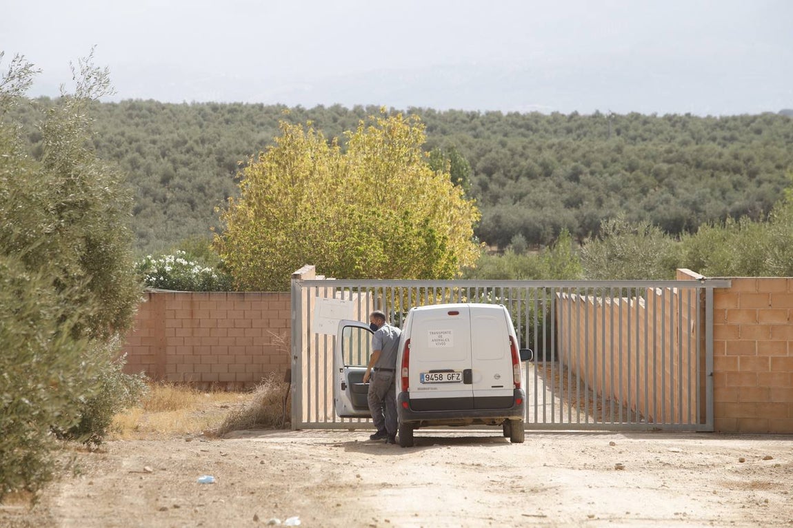 Perro mata niño en Lucena | En imágenes, el ambiente en una ciudad consternada