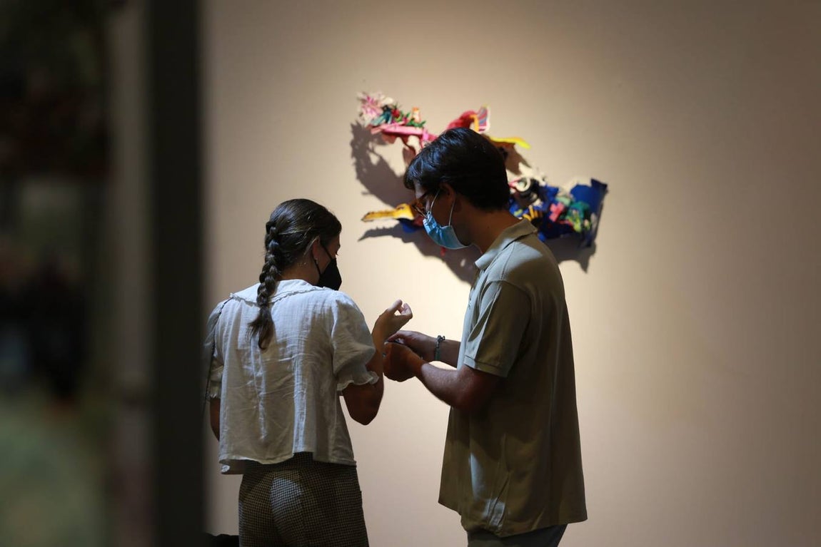 Inauguración de la exposición 'Ars Natura' en la Sala Antiquarium