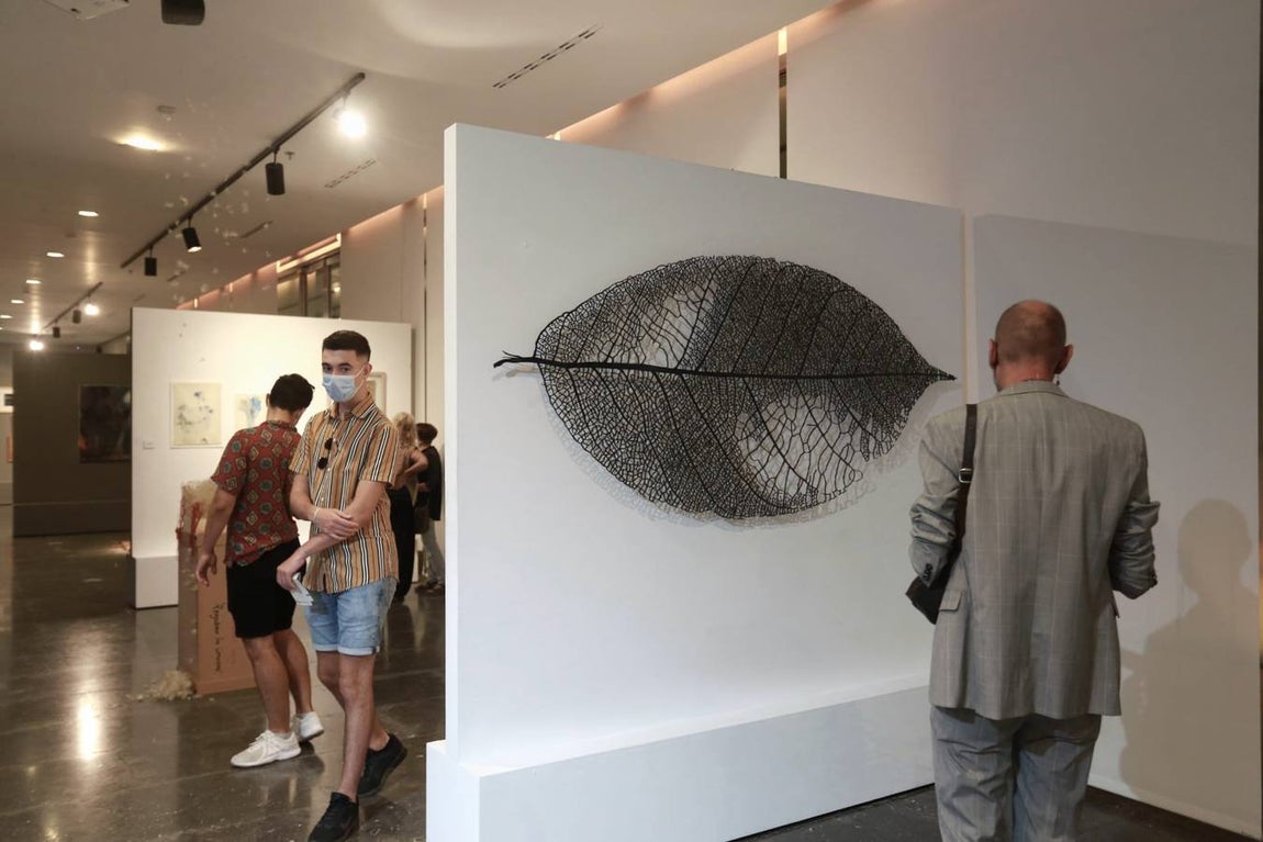 Inauguración de la exposición 'Ars Natura' en la Sala Antiquarium