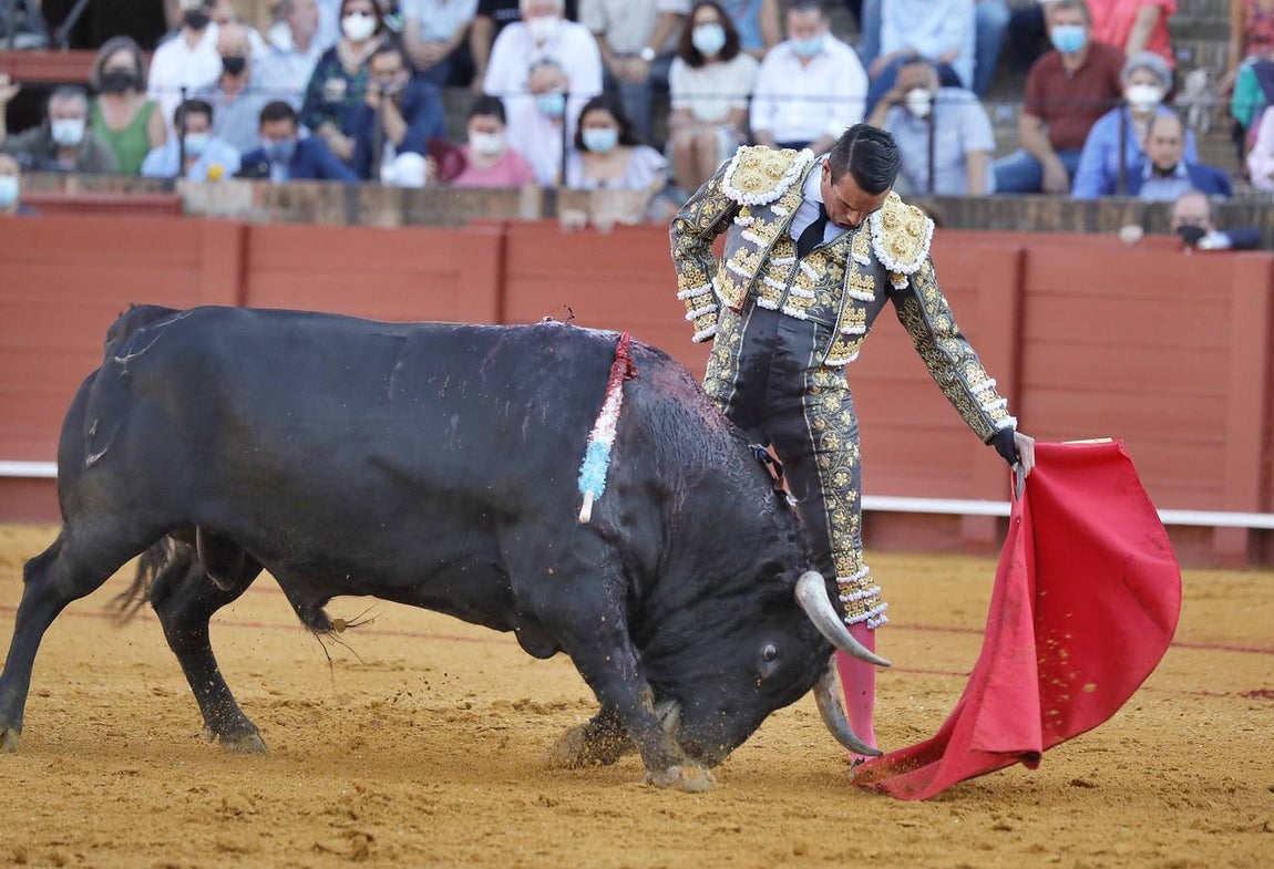 José María Manzanares, en un momento de su faena