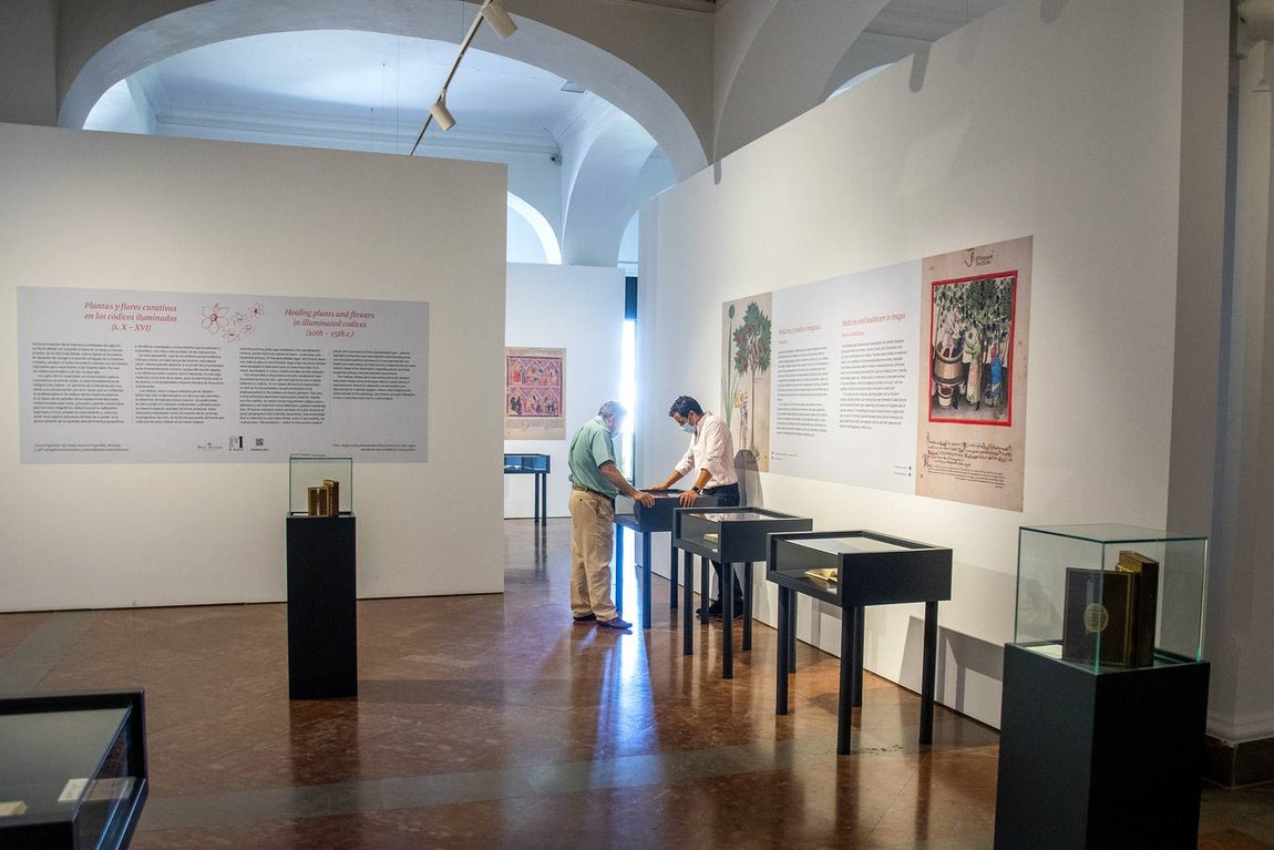 En imágenes, la exposición &#039;Plantas y flores curativas en los códices iluminados (siglos X - XVI)&#039; en el Alcázar de Sevilla