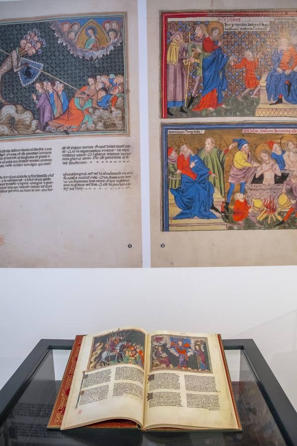 En imágenes, la exposición &#039;Plantas y flores curativas en los códices iluminados (siglos X - XVI)&#039; en el Alcázar de Sevilla