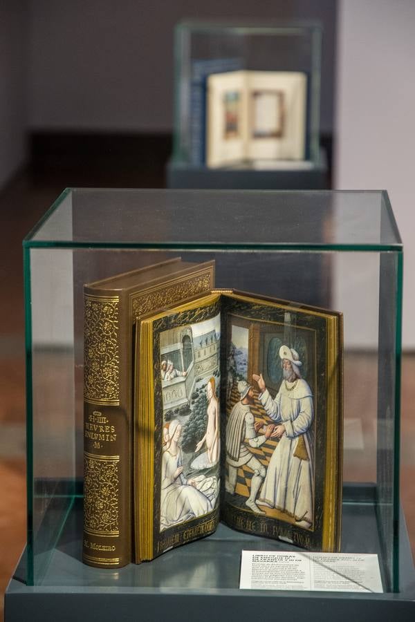 En imágenes, la exposición &#039;Plantas y flores curativas en los códices iluminados (siglos X - XVI)&#039; en el Alcázar de Sevilla