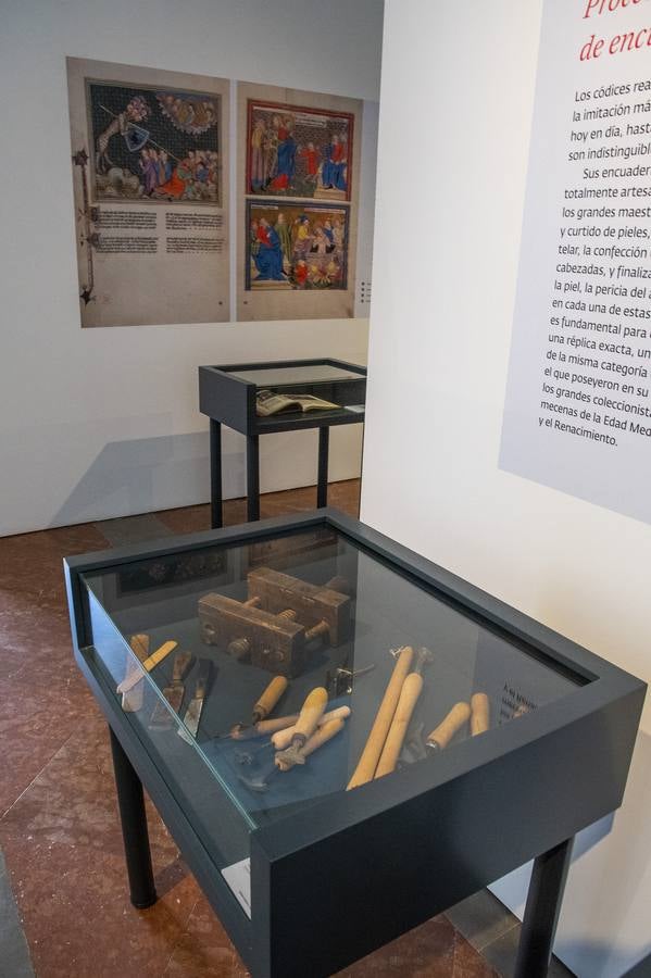 En imágenes, la exposición &#039;Plantas y flores curativas en los códices iluminados (siglos X - XVI)&#039; en el Alcázar de Sevilla