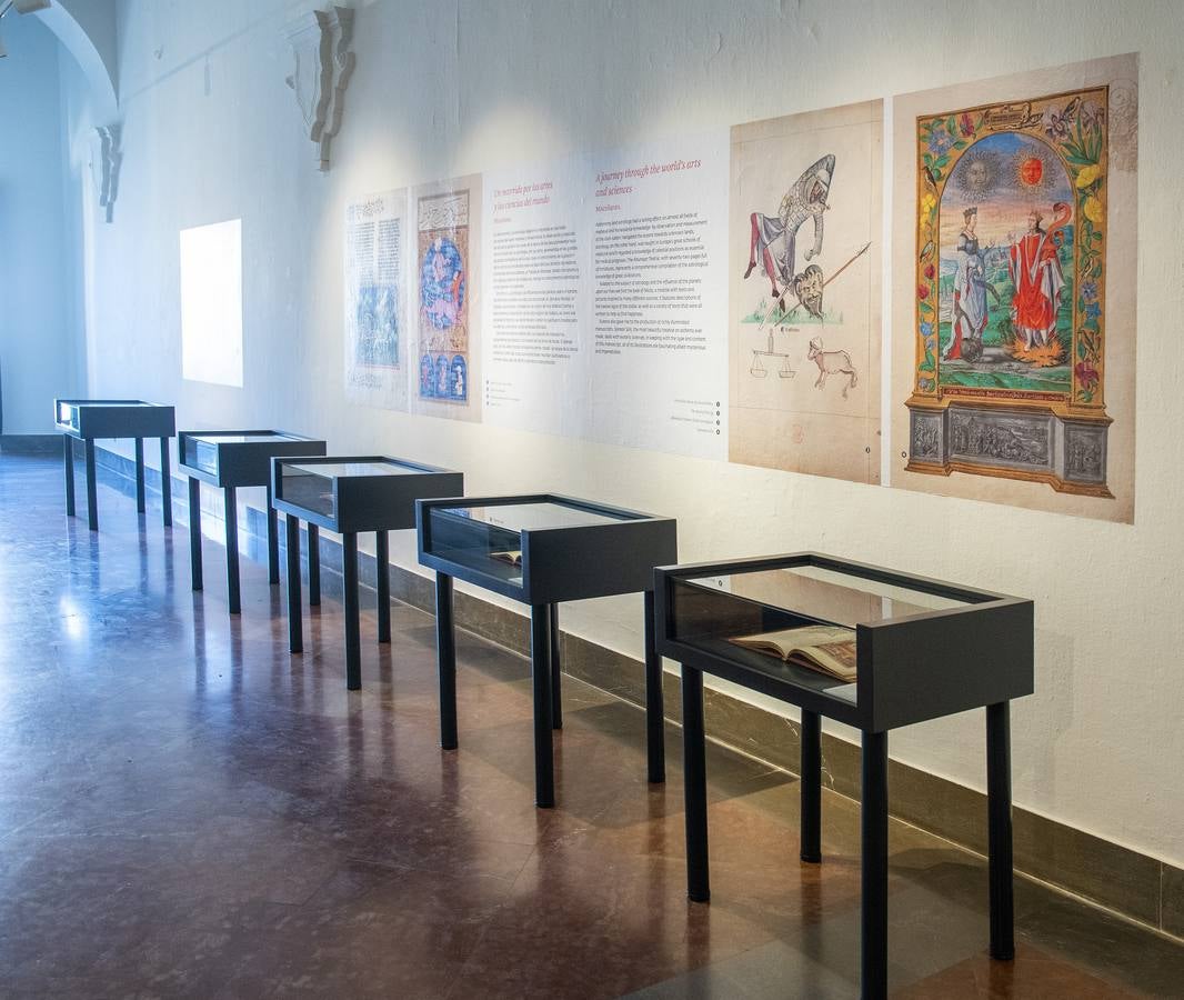 En imágenes, la exposición &#039;Plantas y flores curativas en los códices iluminados (siglos X - XVI)&#039; en el Alcázar de Sevilla
