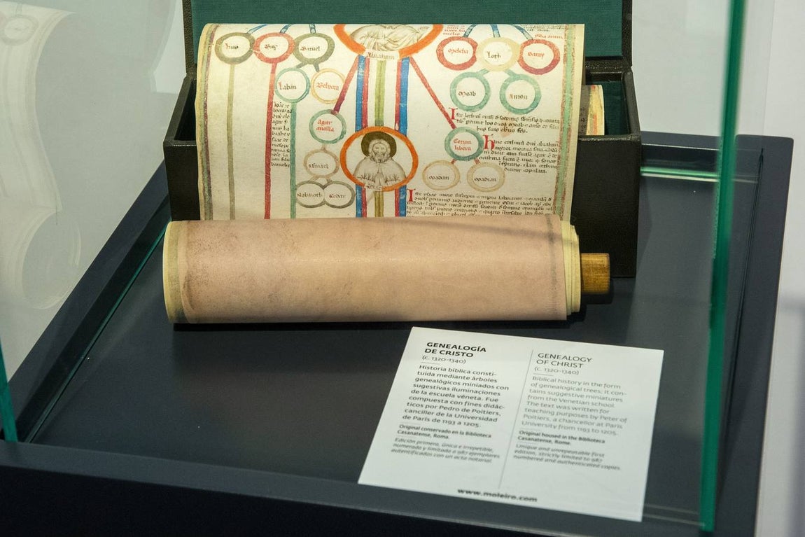 En imágenes, la exposición &#039;Plantas y flores curativas en los códices iluminados (siglos X - XVI)&#039; en el Alcázar de Sevilla