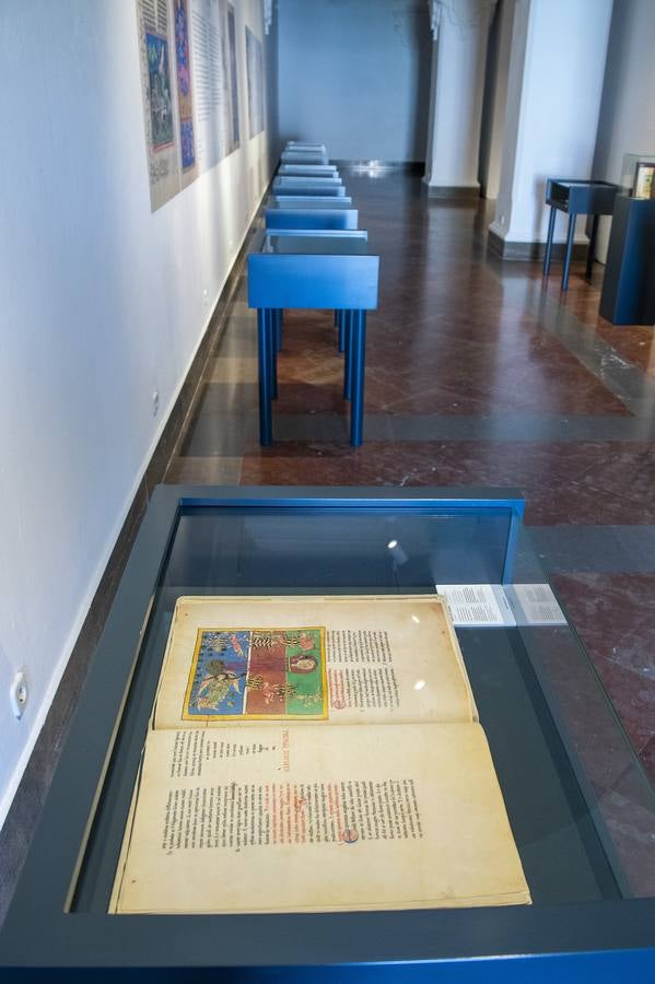 En imágenes, la exposición &#039;Plantas y flores curativas en los códices iluminados (siglos X - XVI)&#039; en el Alcázar de Sevilla