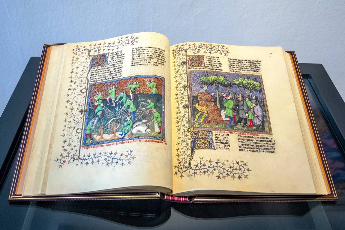 En imágenes, la exposición &#039;Plantas y flores curativas en los códices iluminados (siglos X - XVI)&#039; en el Alcázar de Sevilla