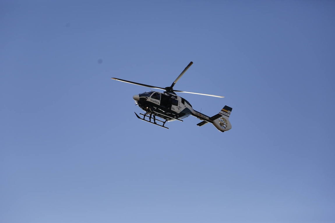 La exhibición de la Guardia Civil en la plaza de toros de Córdoba, en imágenes