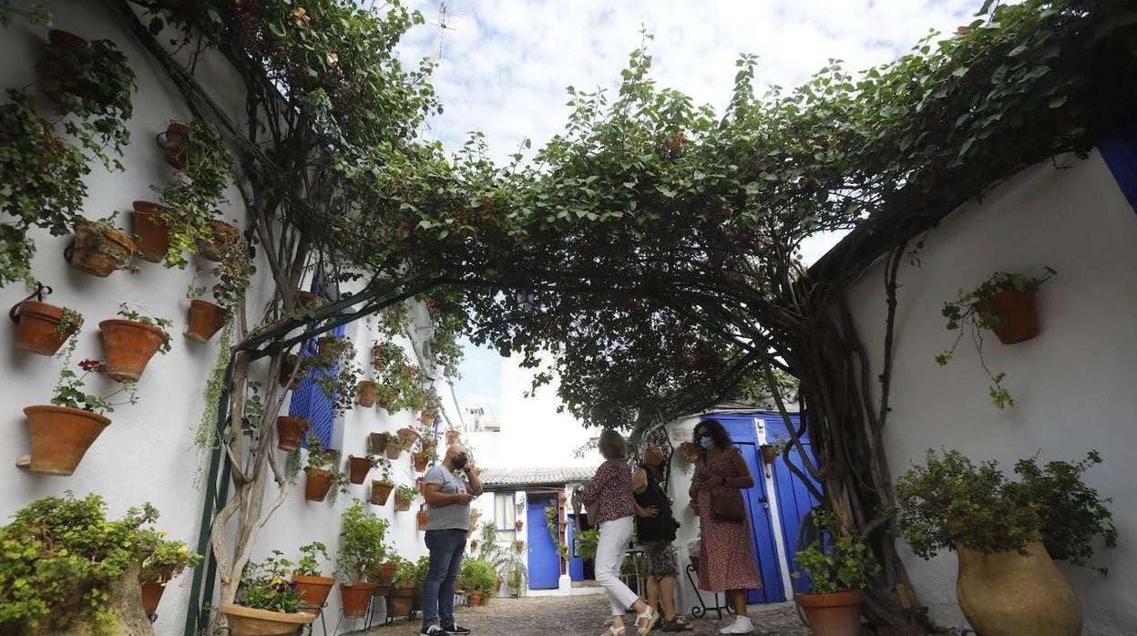 La apertura extraordinaria de los Patios de Córdoba, en imágenes