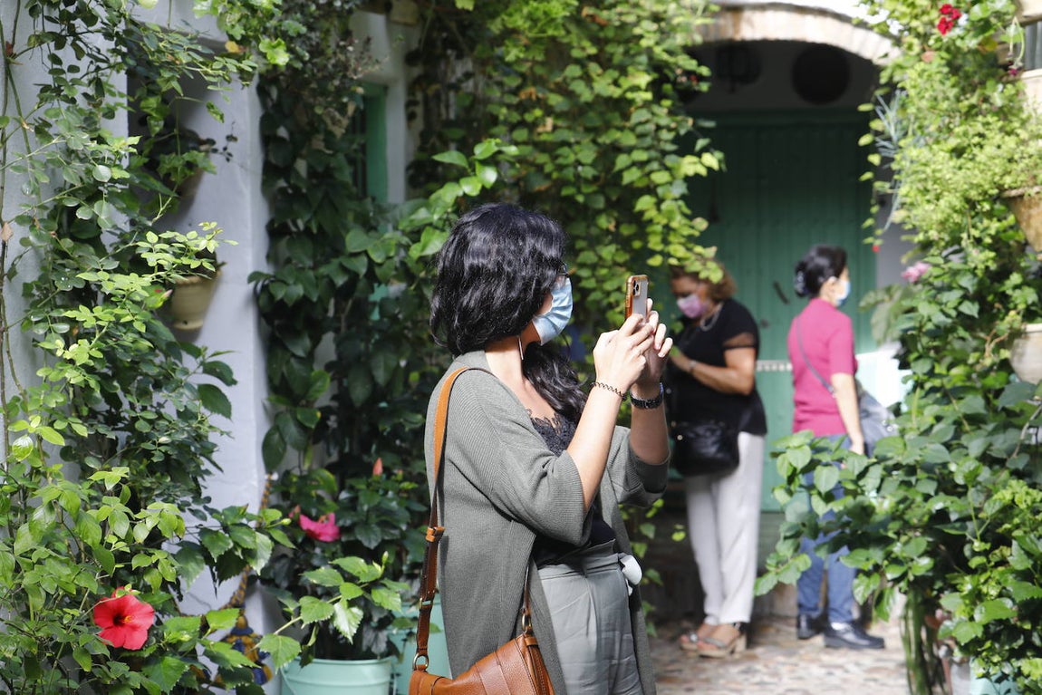 La apertura extraordinaria de los Patios de Córdoba, en imágenes
